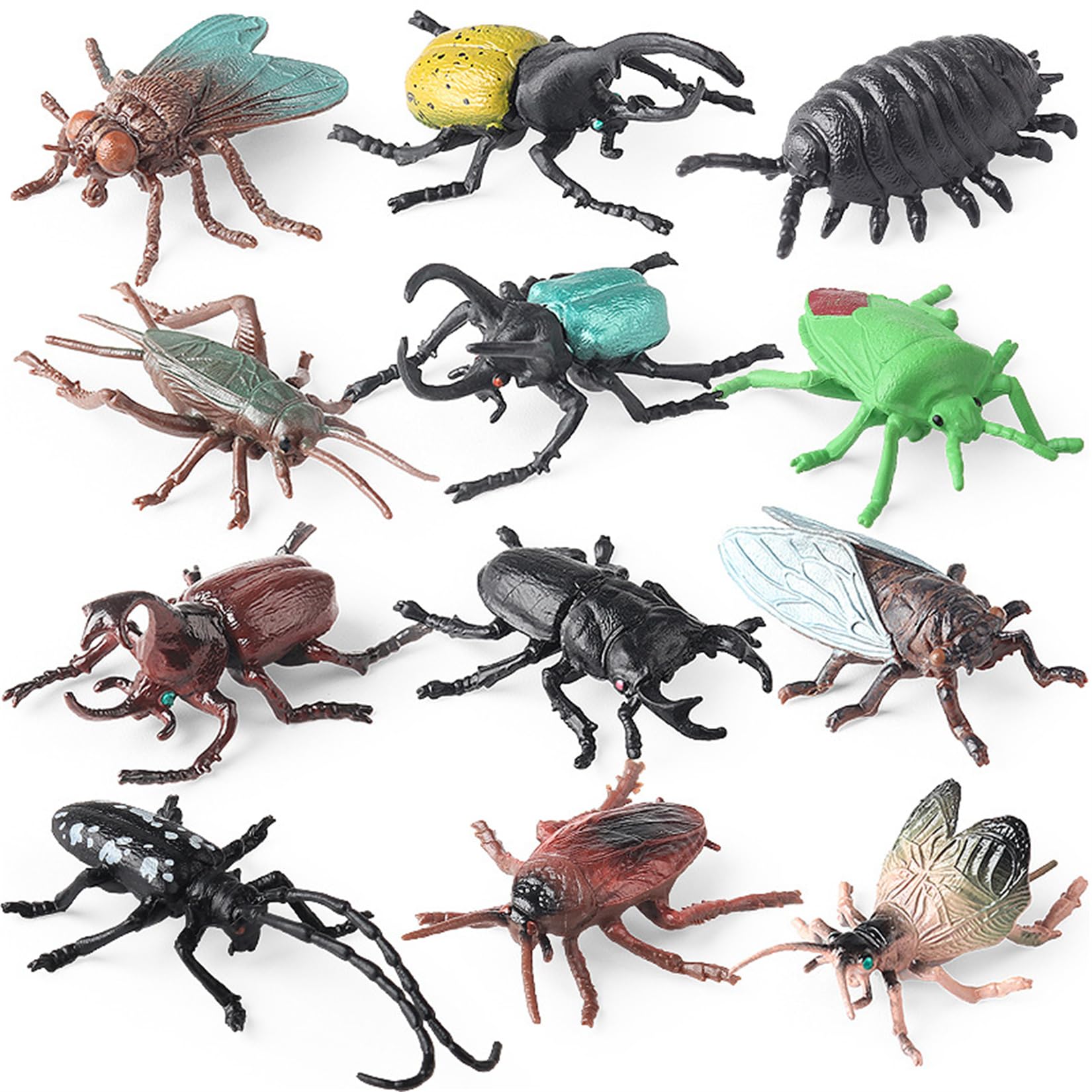 Amazon.co.jp: EUHELOPA 12点セット カブトムシ アトラスオオカブト